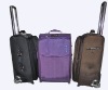 match color trolley luggage