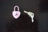 metal padlock for box or case or diary