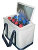 mini  cooler bag