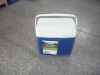 mini cooler box