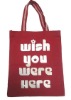 mini hand canvas bag for girls