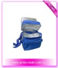 mini lunch cooler bag