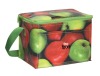 mix-fuctional cooler bags / picnic bag EPO-HY414