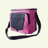 new design insulated cooler bag