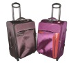 new design travel luggage