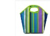 new fasion design cooler bag