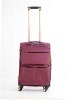 new style fashion trolley luggage