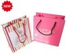 new style luxury paper printed shopping bag