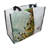 non woven bag laminated with film