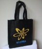 non woven bag/shopping bag/Polyester Bag