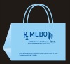 non woven bag/shopping bag/Polyester Bag