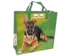 non woven bag/shopping bag/Polyester Bag/PP bag