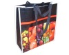 non woven bag/shopping bag/Polyester Bag/PP bag