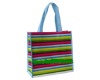 non woven bag/shopping bag/Polyester Bag/PP bag