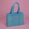 non woven bag/shopping bag/Polyester Bag/PP bag