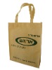 non woven bag/shopping bag/Polyester Bag/PP bag