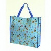 non woven bag/shopping bag/Polyester Bag/PP bag