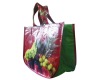 non woven bag/shopping bag/Polyester Bag/PP bag