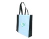 non woven bag/shopping bag/Polyester Bag/PP bag