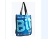 non woven bag/shopping bag/Polyester Bag/PP bag/promotional bag