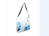 non woven bag/shopping bag/Polyester Bag/PP bag/promotional bag