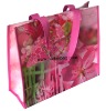 non woven bag/shopping bag/Polyester Bag/PP bag/promotional bag/tote bag/zipper bag