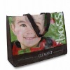 non woven bag/shopping bag/Polyester Bag/PP bag/promotional bag/tote bag/zipper bag