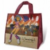 non woven bag/shopping bag/Polyester Bag/PP bag/promotional bag/tote bag/zipper bag