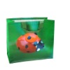 non woven bag/shopping bag/Polyester Bag/PP bag/promotional bag/tote bag/zipper bag