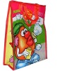 non woven bag/shopping bag/Polyester Bag/PP bag/promotional bag/tote bag/zipper bag