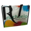 non woven bag/shopping bag/Polyester Bag/PP bag/promotional bag/tote bag/zipper bag