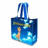 non woven bag/shopping bag/Polyester Bag/PP bag/promotional bag/tote bag/zipper bag