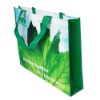 non woven bag/shopping bag/Polyester Bag/PP bag/promotional bag/tote bag/zipper bag