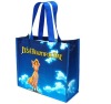 non woven bag/shopping bag/Polyester Bag/PP bag/promotional bag/tote bag/zipper bag