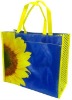 non woven bag/shopping bag/Polyester Bag/PP bag/promotional bag/tote bag/zipper bag