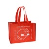 non woven bag/shopping bag/Polyester Bag/PP bag/promotional bag/tote bag/zipper bag