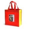 non woven bag/shopping bag/Polyester Bag/PP bag/promotional bag/tote bag/zipper bag