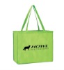 non woven bags(N600259)