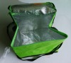 non-woven cooler bag