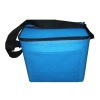 non woven cooler bag