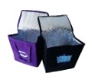 non woven cooler bag