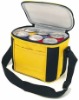 non woven cooler bag