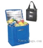 non woven cooler bags