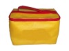 non woven disposable cooler bags