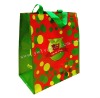 non woven laminated promotion bag