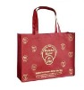 non-woven promotion bag