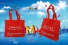 non woven promotional bag