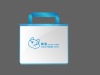 non-woven promotional bag