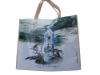 non woven promotional shopping bag