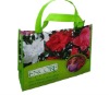 non woven promotional shopping bag nylon bag